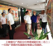 如沉点支撑了神冠公司、骆驼华南公司、